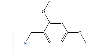 N-(tert-butyl)-N-(2,4-dimethoxybenzyl)amine Structure