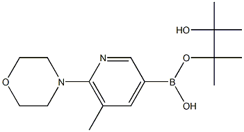 5-Methyl-6-(4-morpholino)pyridine-3-boronic acid pinacol ester 구조식 이미지