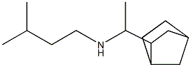 (1-{bicyclo[2.2.1]heptan-2-yl}ethyl)(3-methylbutyl)amine Structure