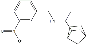 (1-{bicyclo[2.2.1]heptan-2-yl}ethyl)[(3-nitrophenyl)methyl]amine Structure