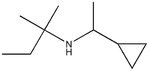 (1-cyclopropylethyl)(2-methylbutan-2-yl)amine Structure