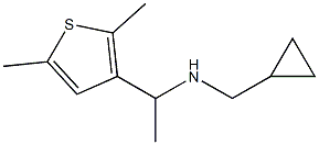 (cyclopropylmethyl)[1-(2,5-dimethylthiophen-3-yl)ethyl]amine Structure