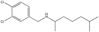 [(3,4-dichlorophenyl)methyl](6-methylheptan-2-yl)amine 구조식 이미지