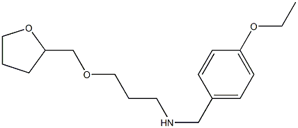 [(4-ethoxyphenyl)methyl][3-(oxolan-2-ylmethoxy)propyl]amine 구조식 이미지