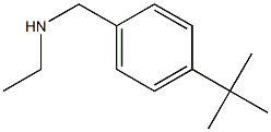 [(4-tert-butylphenyl)methyl](ethyl)amine 구조식 이미지