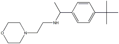 [1-(4-tert-butylphenyl)ethyl][2-(morpholin-4-yl)ethyl]amine 구조식 이미지