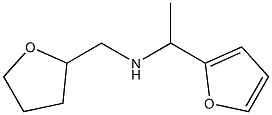 [1-(furan-2-yl)ethyl](oxolan-2-ylmethyl)amine Structure