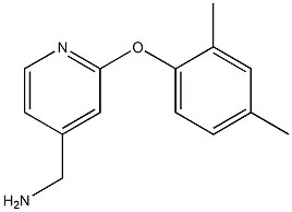 [2-(2,4-dimethylphenoxy)pyridin-4-yl]methylamine 구조식 이미지