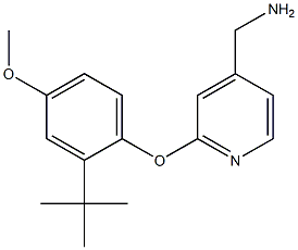 [2-(2-tert-butyl-4-methoxyphenoxy)pyridin-4-yl]methylamine Structure