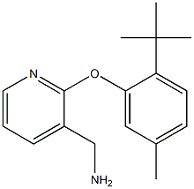 [2-(2-tert-butyl-5-methylphenoxy)pyridin-3-yl]methanamine 구조식 이미지