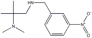 [2-(dimethylamino)-2-methylpropyl][(3-nitrophenyl)methyl]amine 구조식 이미지