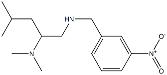 [2-(dimethylamino)-4-methylpentyl][(3-nitrophenyl)methyl]amine Structure