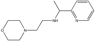 [2-(morpholin-4-yl)ethyl][1-(pyridin-2-yl)ethyl]amine 구조식 이미지