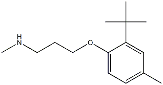 [3-(2-tert-butyl-4-methylphenoxy)propyl](methyl)amine Structure