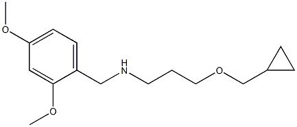 [3-(cyclopropylmethoxy)propyl][(2,4-dimethoxyphenyl)methyl]amine 구조식 이미지