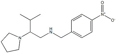 [3-methyl-2-(pyrrolidin-1-yl)butyl][(4-nitrophenyl)methyl]amine 구조식 이미지