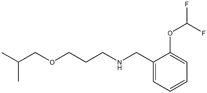 {[2-(difluoromethoxy)phenyl]methyl}[3-(2-methylpropoxy)propyl]amine Structure