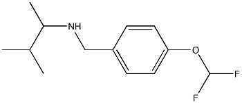 {[4-(difluoromethoxy)phenyl]methyl}(3-methylbutan-2-yl)amine 구조식 이미지