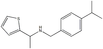 {[4-(propan-2-yl)phenyl]methyl}[1-(thiophen-2-yl)ethyl]amine Structure