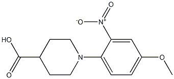 1-(4-methoxy-2-nitrophenyl)piperidine-4-carboxylic acid Structure