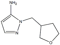 1-(tetrahydrofuran-3-ylmethyl)-1H-pyrazol-5-amine 구조식 이미지