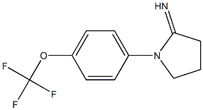 1-[4-(trifluoromethoxy)phenyl]pyrrolidin-2-imine Structure