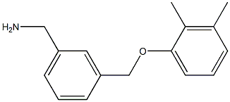 1-{3-[(2,3-dimethylphenoxy)methyl]phenyl}methanamine Structure