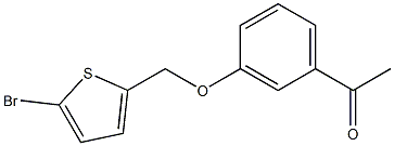 1-{3-[(5-bromothien-2-yl)methoxy]phenyl}ethanone 구조식 이미지