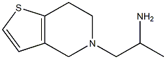 1-{4H,5H,6H,7H-thieno[3,2-c]pyridin-5-yl}propan-2-amine 구조식 이미지