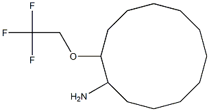 2-(2,2,2-trifluoroethoxy)cyclododecan-1-amine Structure