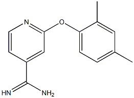 2-(2,4-dimethylphenoxy)pyridine-4-carboximidamide Structure