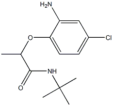 2-(2-amino-4-chlorophenoxy)-N-tert-butylpropanamide 구조식 이미지