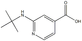2-(tert-butylamino)pyridine-4-carboxylic acid Structure