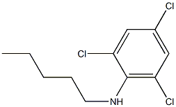 2,4,6-trichloro-N-pentylaniline Structure