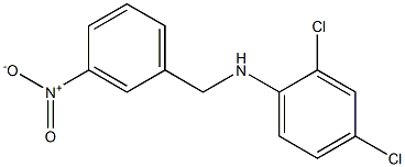 2,4-dichloro-N-[(3-nitrophenyl)methyl]aniline 구조식 이미지