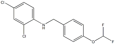2,4-dichloro-N-{[4-(difluoromethoxy)phenyl]methyl}aniline Structure