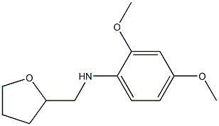 2,4-dimethoxy-N-(oxolan-2-ylmethyl)aniline Structure