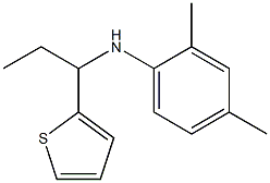 2,4-dimethyl-N-[1-(thiophen-2-yl)propyl]aniline 구조식 이미지