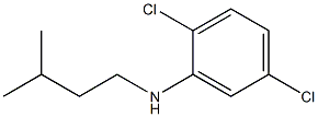 2,5-dichloro-N-(3-methylbutyl)aniline 구조식 이미지