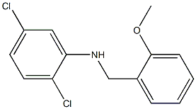 2,5-dichloro-N-[(2-methoxyphenyl)methyl]aniline 구조식 이미지