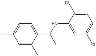 2,5-dichloro-N-[1-(2,4-dimethylphenyl)ethyl]aniline 구조식 이미지