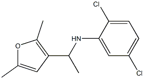 2,5-dichloro-N-[1-(2,5-dimethylfuran-3-yl)ethyl]aniline Structure