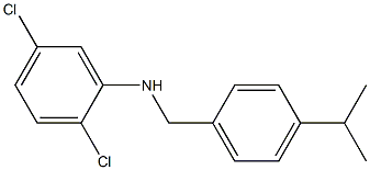 2,5-dichloro-N-{[4-(propan-2-yl)phenyl]methyl}aniline Structure