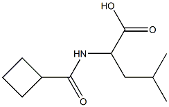 2-[(cyclobutylcarbonyl)amino]-4-methylpentanoic acid Structure
