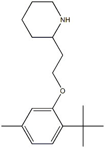 2-[2-(2-tert-butyl-5-methylphenoxy)ethyl]piperidine 구조식 이미지