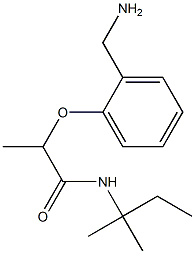 2-[2-(aminomethyl)phenoxy]-N-(2-methylbutan-2-yl)propanamide Structure