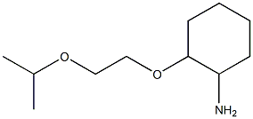 2-[2-(propan-2-yloxy)ethoxy]cyclohexan-1-amine Structure