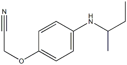 2-[4-(butan-2-ylamino)phenoxy]acetonitrile Structure