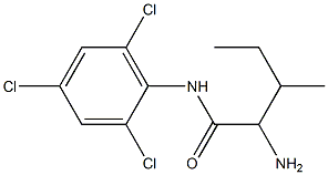 2-amino-3-methyl-N-(2,4,6-trichlorophenyl)pentanamide 구조식 이미지