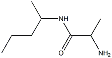 2-amino-N-(1-methylbutyl)propanamide 구조식 이미지